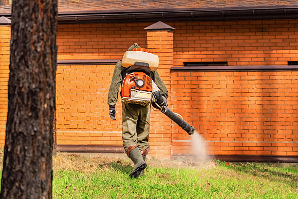Trusted Termite Control service in Elkland, PA - Nex Pest Control